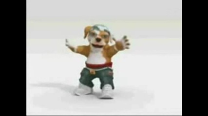 dog 