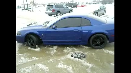 Mustang Cobra Twin Turbo