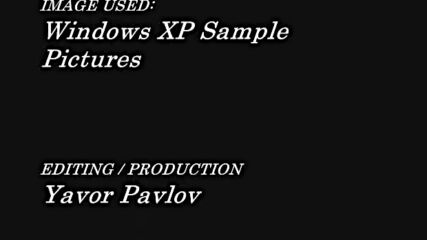 Windows Xp Sample Pictures.wmv