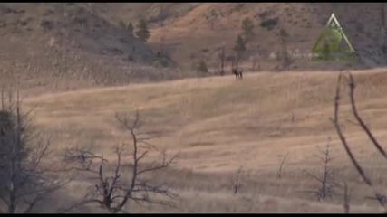 Backcountry Elk Hunt - Lone Wolf Knives