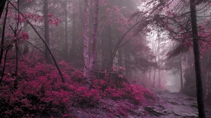 Murya - Grey Daze
