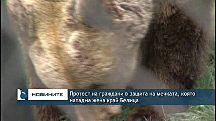 Протест на граждани в защита на мечката, която нападна жена край Белица