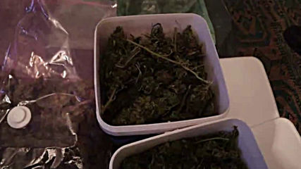 Откритата марихуана за 300 хил.лева в Бупгас