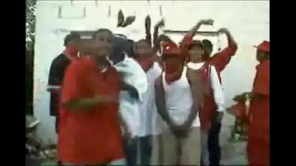 Bloods 