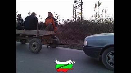 Това може да се види само в Бг