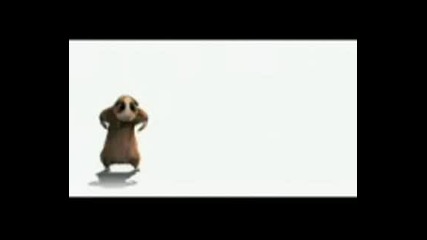 Break Hamster