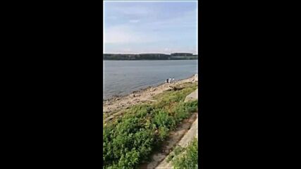 Video-(1631989805)