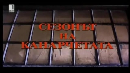 Сезонът На Канарчетата 1993 Бг Аудио Част 1 Tv Rip Бнт 1