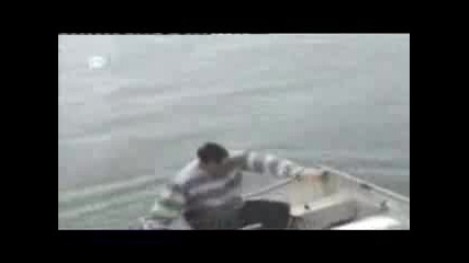 Stupid People - Very Funny
