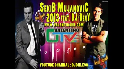 Sekib Mujanovic feat Dj Deny 2013 Hocu da se Zenim