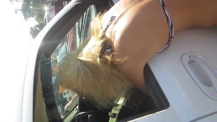 Bass Hair Trick - www.uget.in