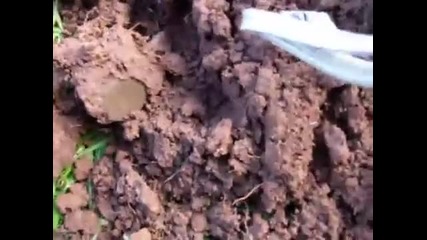 Търсена на монети с Garrett Ace 250