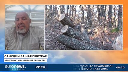 Масови акции на Агенцията по горите и МВР за незаконна сеч в цялата страна