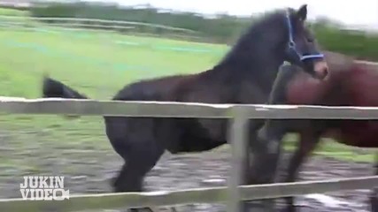 Top 10 Fails May 2013