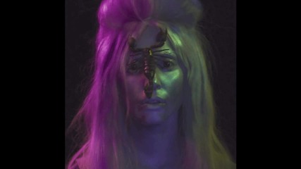 Lady Gaga - Venus (audio)
