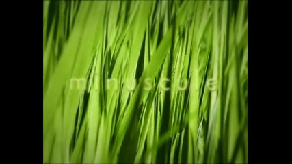 Minuscule~l'union fait la force