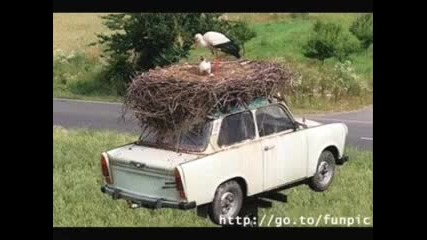 Много Смешни Снимки