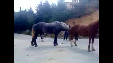 Kone 2