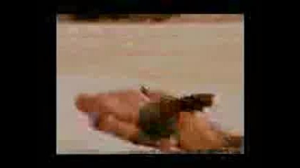 Troy - sulеymаааааm