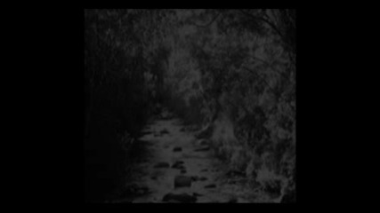 Nixs Eyes - Atmosfera 3