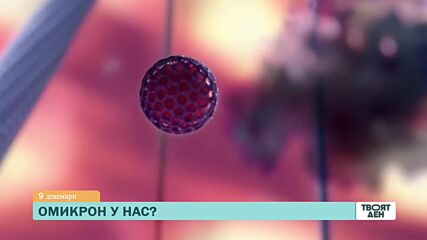 В "Твоят ден" на 9 декември ще видите