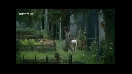 Es lebe der Zentralfriedhof 