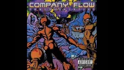 Company Flow - Population Control