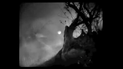 Agalloch - Faustian Echoes ( video) 2012
