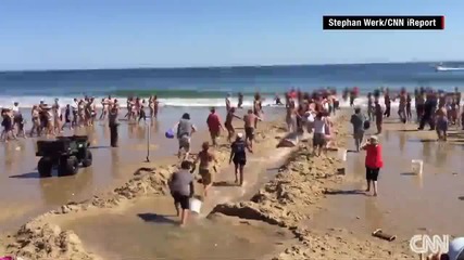 Хора спасяват акула в беда на плажа