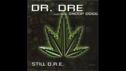 Dr. Dre - Still D.r.e. (instrumental)