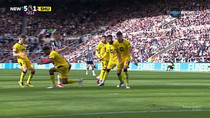 Newcastle United with a Goal vs. Sheffield United FC