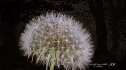 Stamatis Spanoudakis - Si tu veux