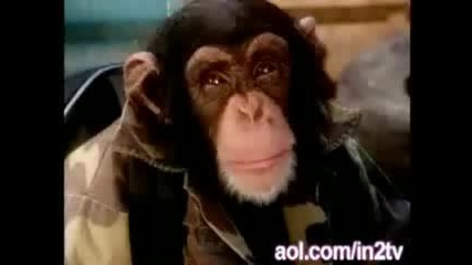 Terminator 2 с маймуни - голям смях