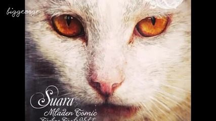 Mladen Tomic - Backstage ( Original Mix ) [high quality]