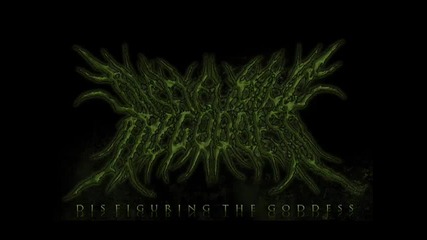 Disfiguring The Goddess- Teeth Of Emultion with lyrics.flv