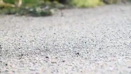 Ken Block Parody