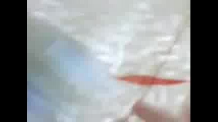 Zai4eto Mi