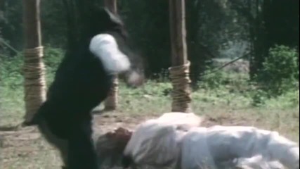 7 Commandments Of Kung Fu (1979) - Финал