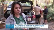 Хиляди диви животни загинаха в опустошителните горски пожари във Франция