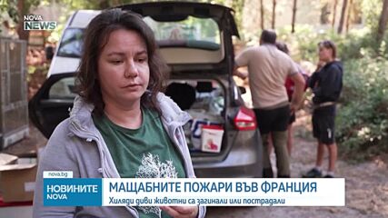 Хиляди диви животни загинаха в опустошителните горски пожари във Франция