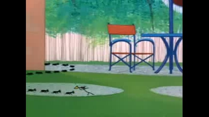 Tom & Jerry - Barbecue Brawl