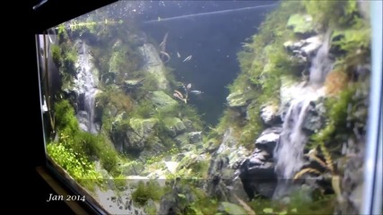 Страхотен аквариум - Ефект водопад !