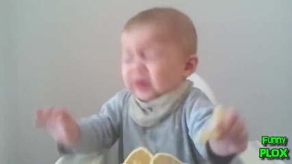 Babies Eating Lemons for First Time Compilation 2013 [hd]