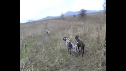 Стойки ! 
