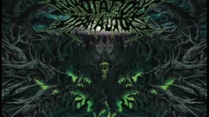Deathcore Death Metal Differences