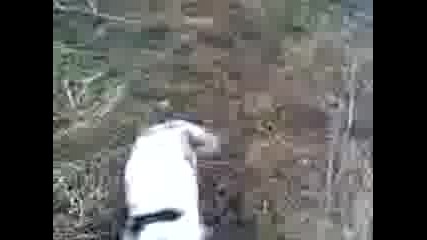 Видео013.3gp