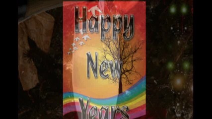 * Честита Нова Година 2011! Happy New Year 2011!