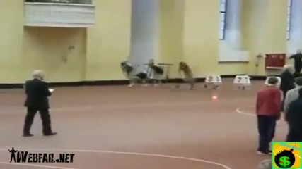 Fail Compilation 2013