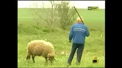 Gospodari Na Efira