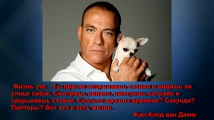 Класация топ 5 класически филма на легендата Жан - Клод Ван Дам